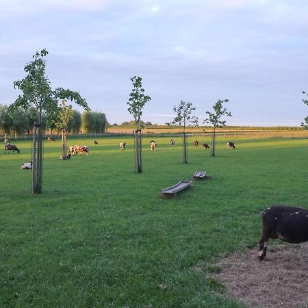 De Nachtdijk Bed & Breakfast Wijk bij Duurstede Luaran gambar