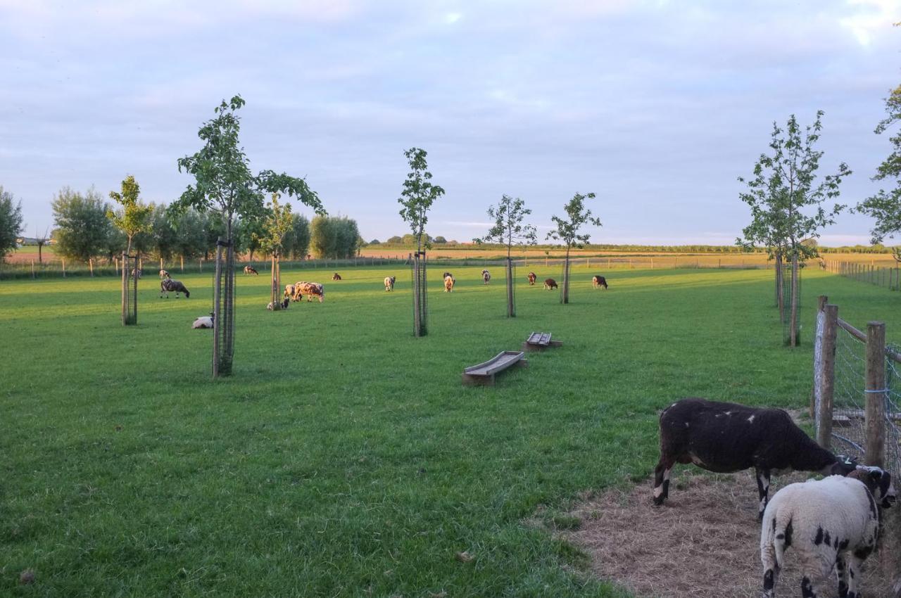 De Nachtdijk Bed & Breakfast Wijk bij Duurstede Luaran gambar